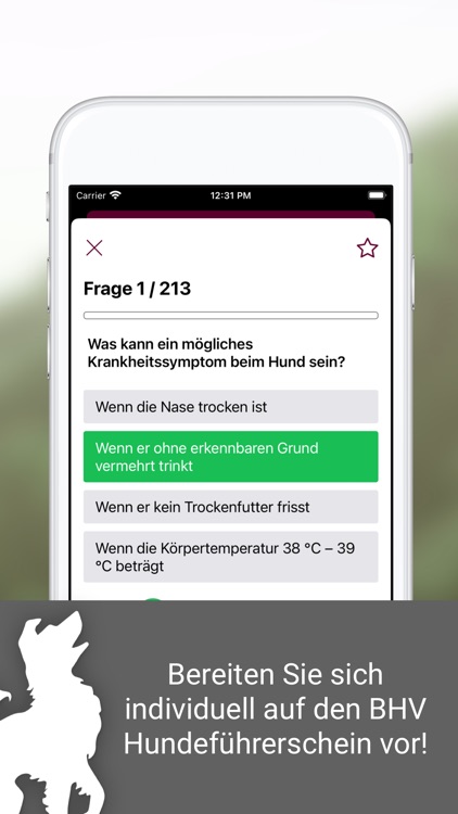 BHV Hundeführerschein