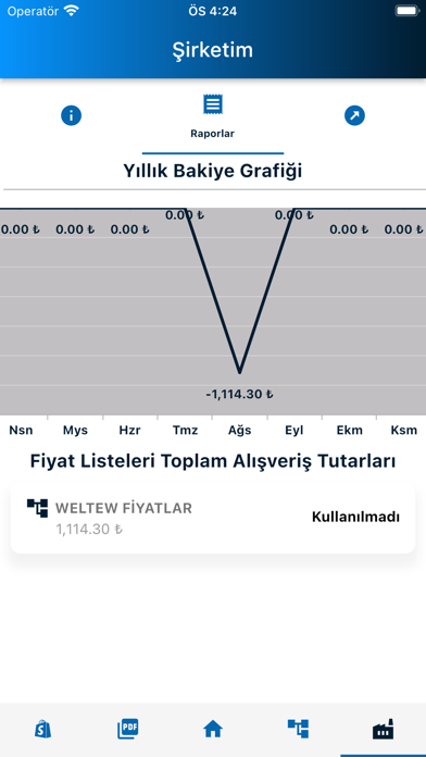 Asalet Cam Ayna Screenshot