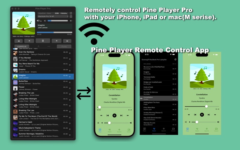 Pine Player Pro Screenshot