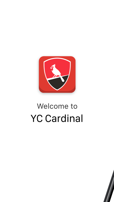York College Cardinal, CUNY Screenshot