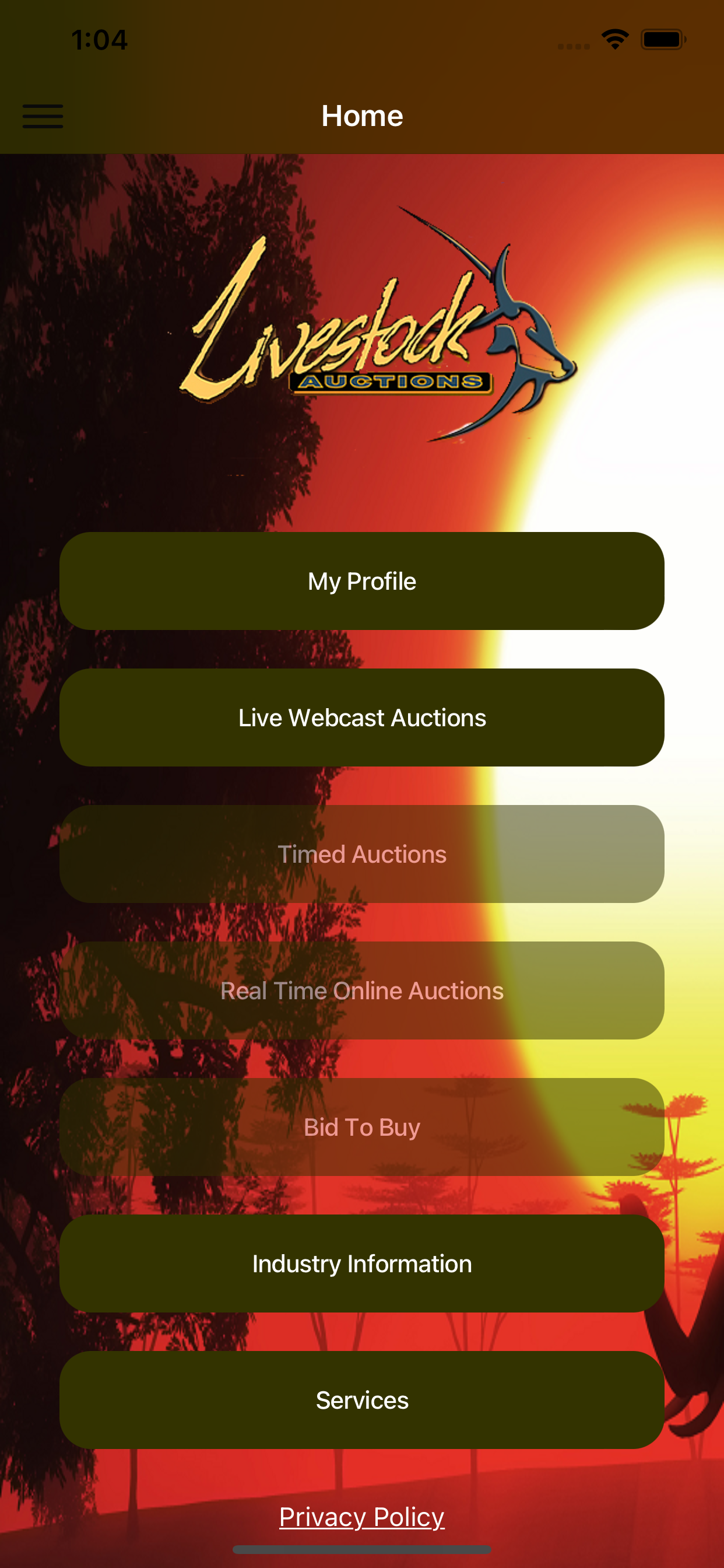 Livestock Auctions
