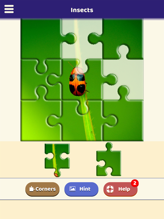 Insect Love Puzzle