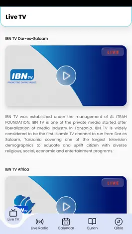 Game screenshot IBN TV mod apk