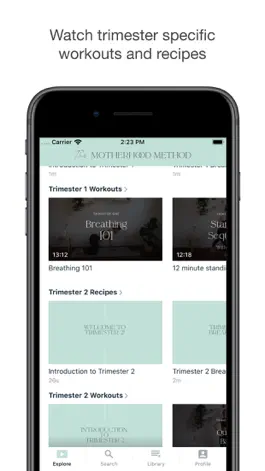 Game screenshot The Motherhood Method hack