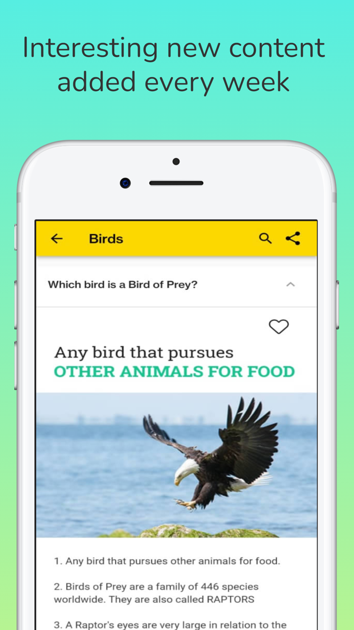 CFE - Children For Environment