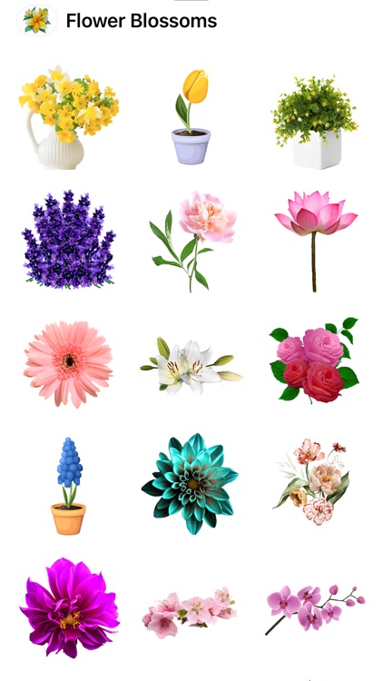 Flower Blossom Stickers HD