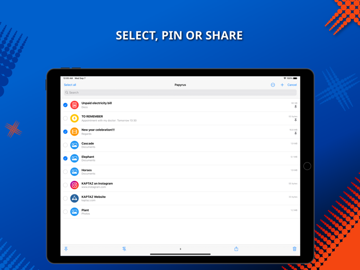 Papyrus Files and more