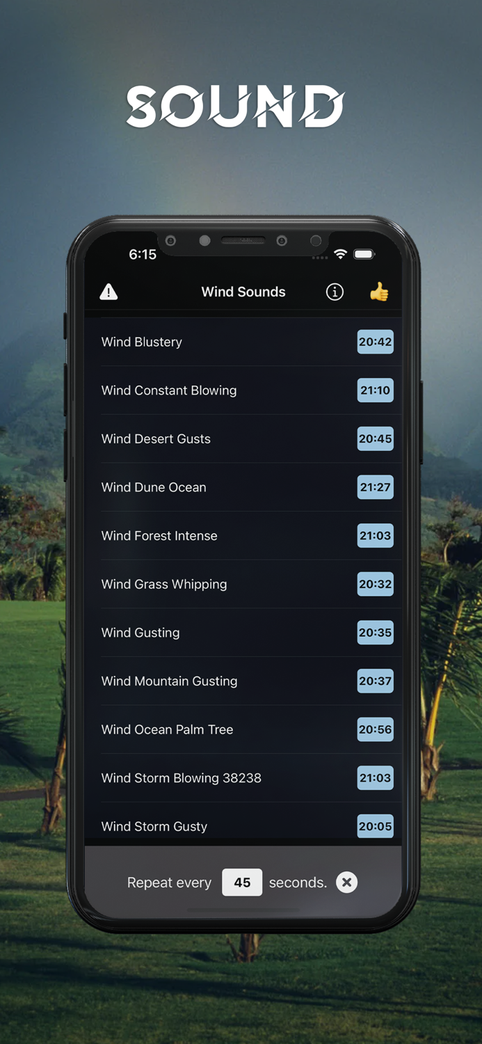 Wind Calming Night Sounds
