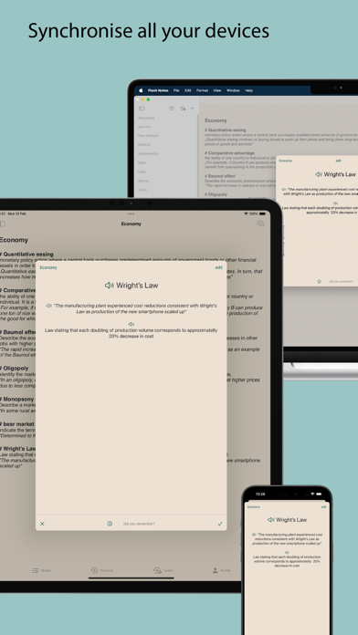 Flash Notes Screenshot