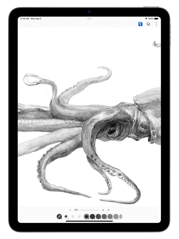 Screenshot #5 pour Rollcanvas