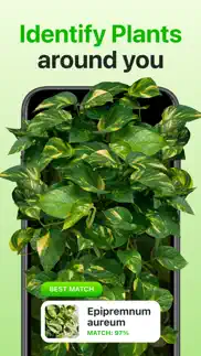 ai plant identifier app－botan iphone screenshot 1