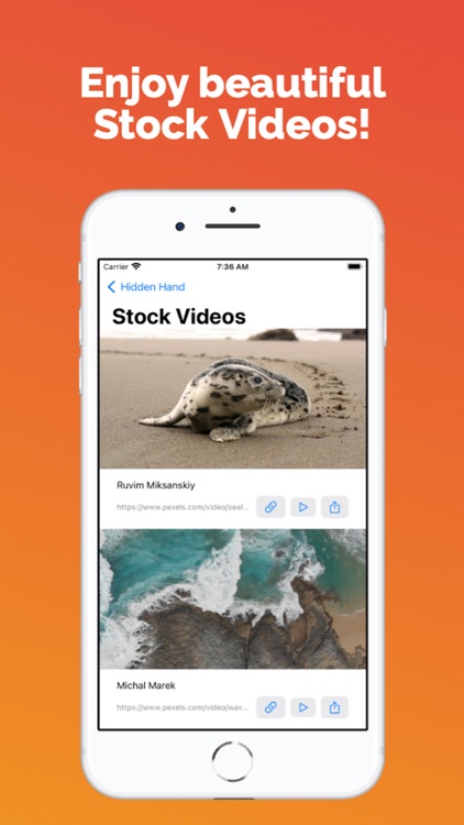 Hidden Hand screenshot-4