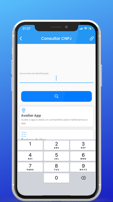Consultar CNPJ - Situação Screenshot