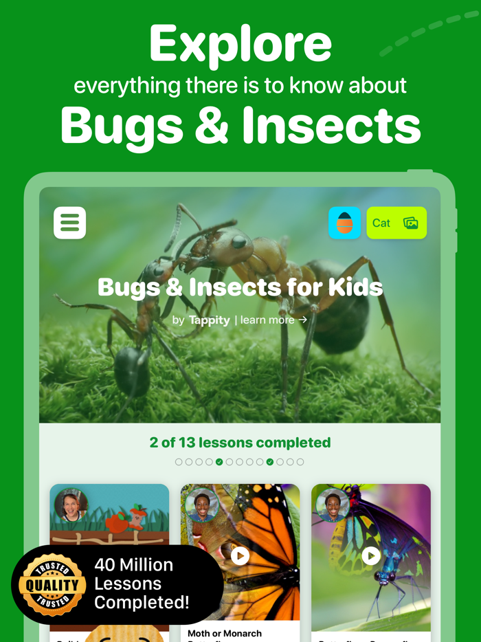 Fun Insects and Bugs for Kids