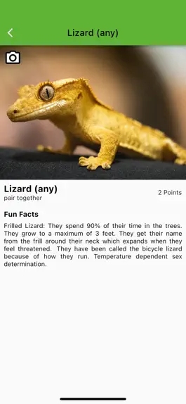 Game screenshot PhotoFunSafaris Staten Island apk