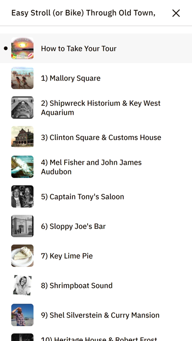 BeachBunny's Tours of Key West Screenshot