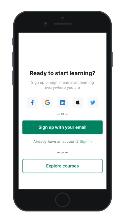 Dog School Pup Training School