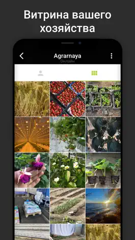 Game screenshot Аграрная Россия apk