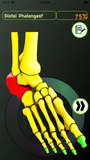 foot bones: speed anatomy quiz iphone screenshot 4