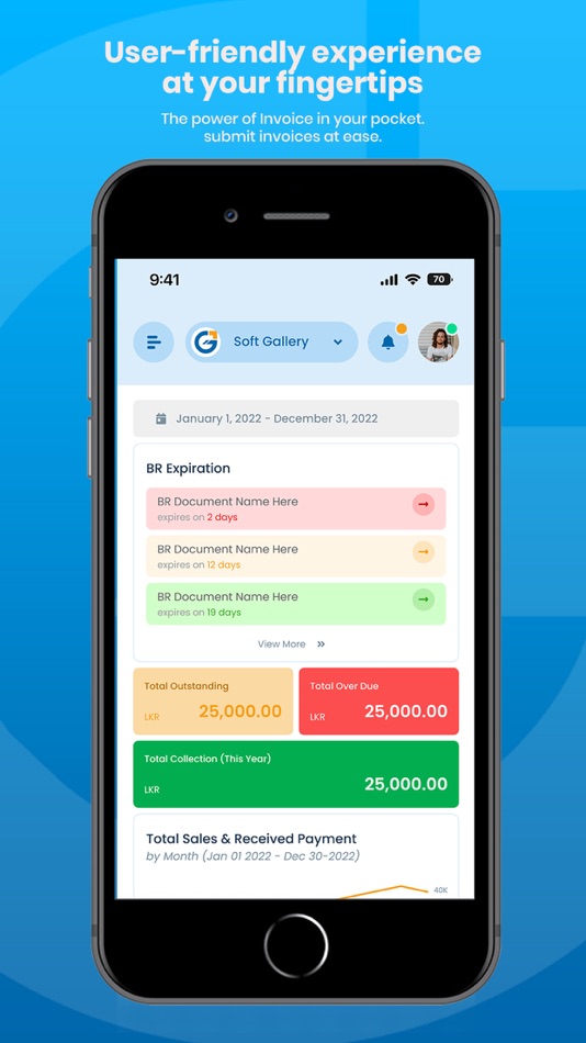#2. Gallery Invoice (iOS) 由: SOFT GALLERY
