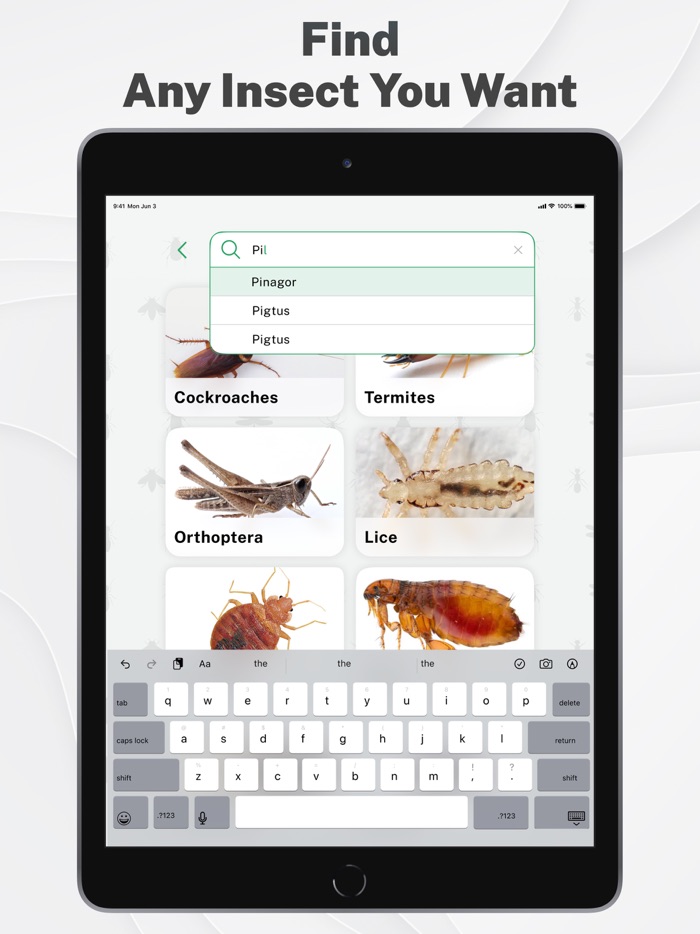 Insects and Bugs Identifier ID