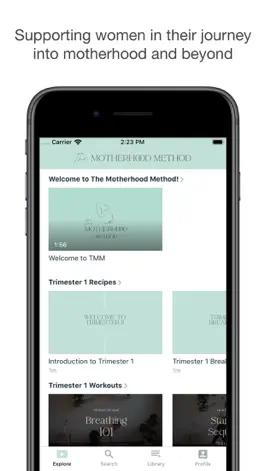 Game screenshot The Motherhood Method apk