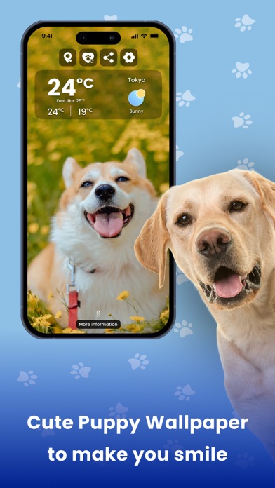 Weather Kitty - Cute Cat radar Screenshot