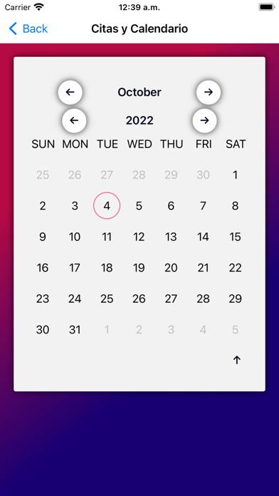 UNE: Universidad del Noreste Screenshot