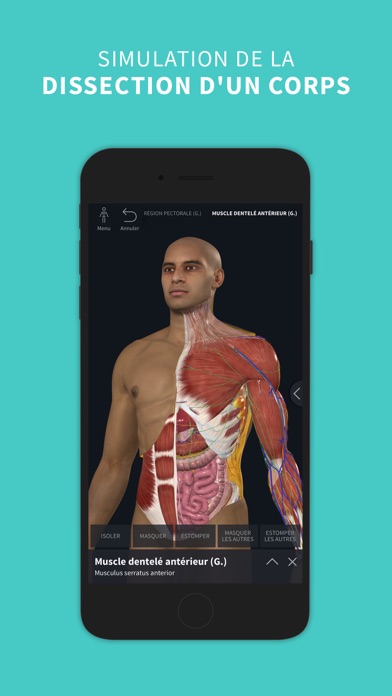 Screenshot #2 pour Complete Anatomy ‘24