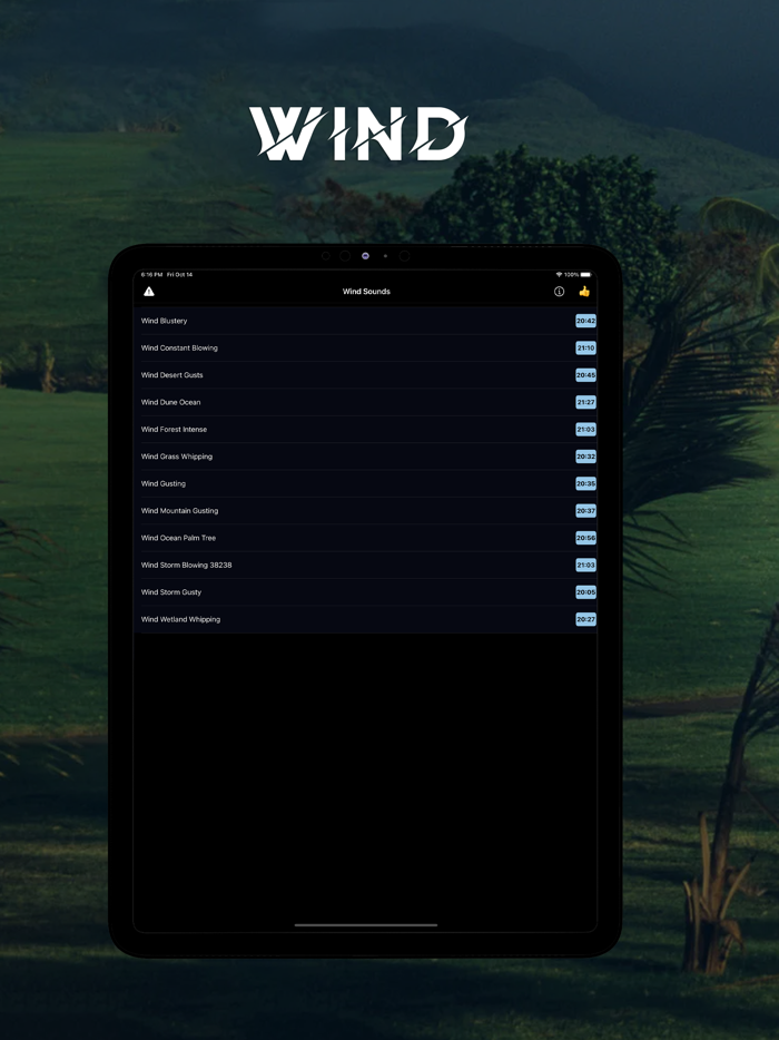 Wind Calming Night Sounds
