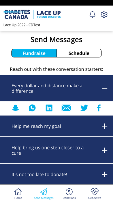 Lace Up to End Diabetes Screenshot