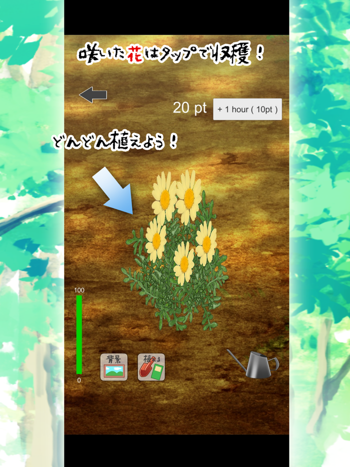 フラワーコレクション