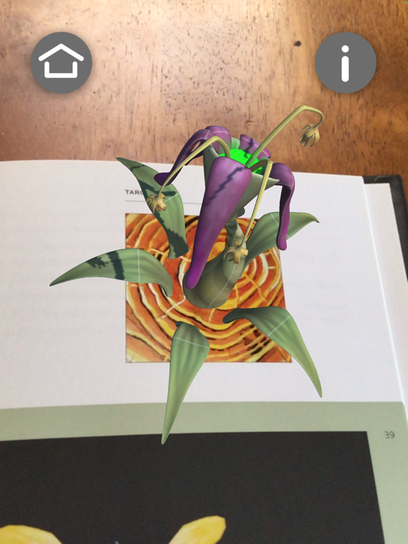 Ginny Ruffner's AR iPad screenshot 2 - Entertainment app