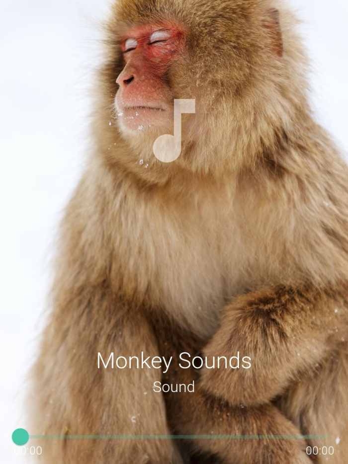 Monkey Sounds Pro