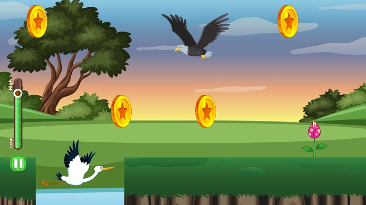 Scream and Save : Bird Fly