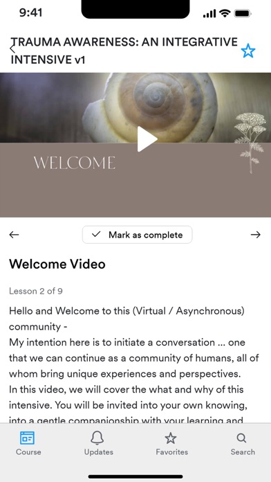 Integrative Trauma Institute Screenshot