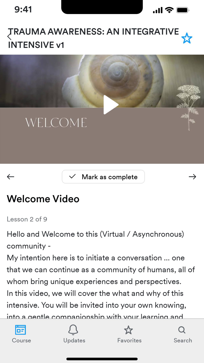 Integrative Trauma Institute