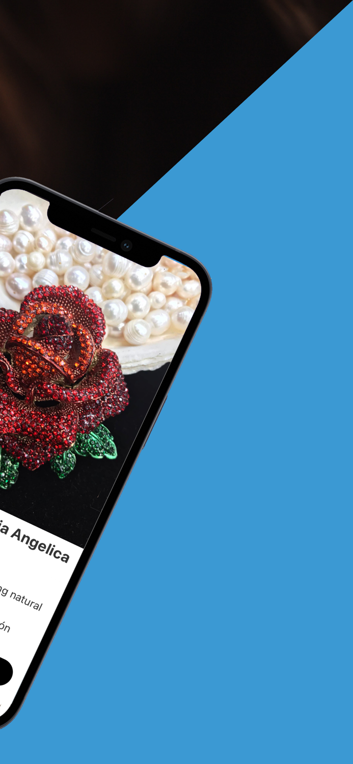 Joyeria Angelica Maria