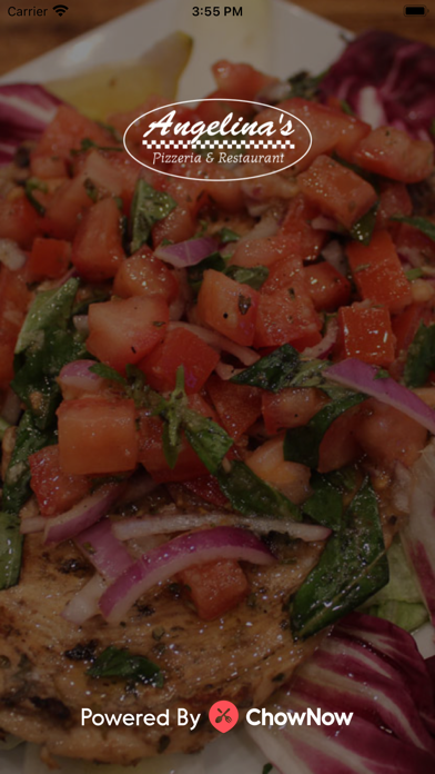 Angelina's Pizzeria - Lynbrook Screenshot