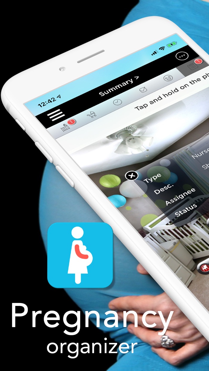 My Pregnancy Organizer