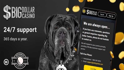 Big Dollar Online Casino Screenshot