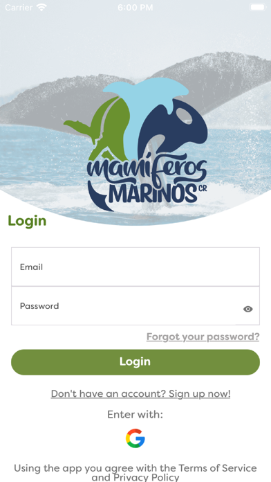 Mamíferos marinos Costa Rica Screenshot