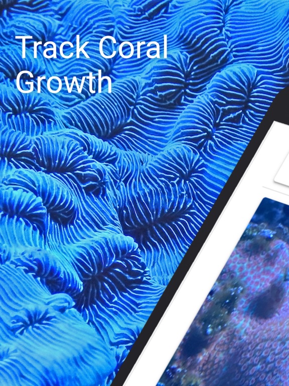Reef Tracker