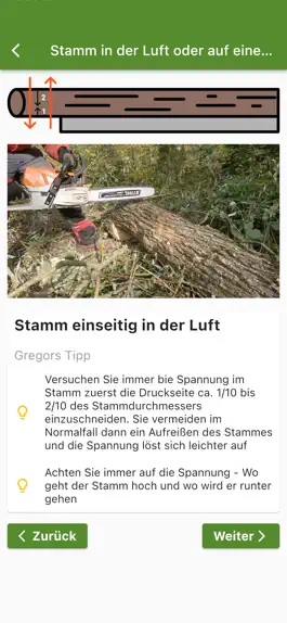 Game screenshot Feuerholz mod apk