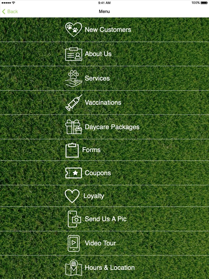 Jaggers Doggie Daycare