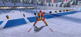Game screenshot Winter Sports Mania apk