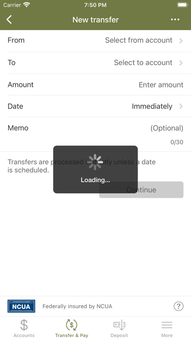 Adirondack Regional FCU Screenshot