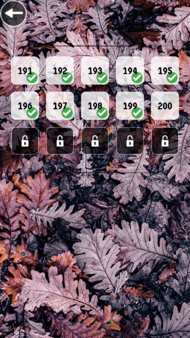 WordT Screenshot
