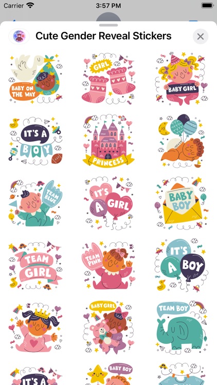Cute Gender Reveal Stickers