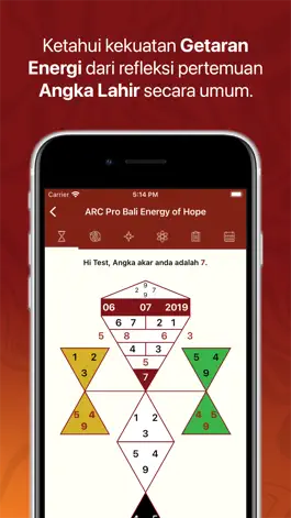 Game screenshot ARCBali Pro Energy of Hope hack